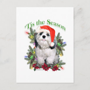 Carte Postale Shih Tzu 'Tis the Season