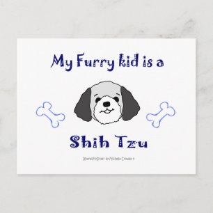 Carte Postale ShihTzuGreyBlanc