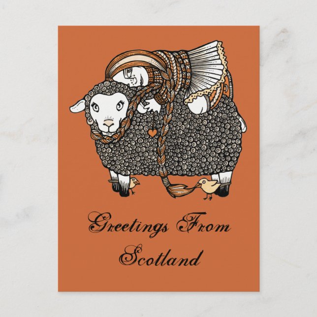 Carte postale Shonaghs Sheep (Devant)