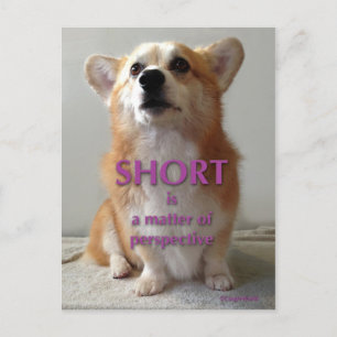 Carte Postale Short est une question de perspective Cute Corgi c