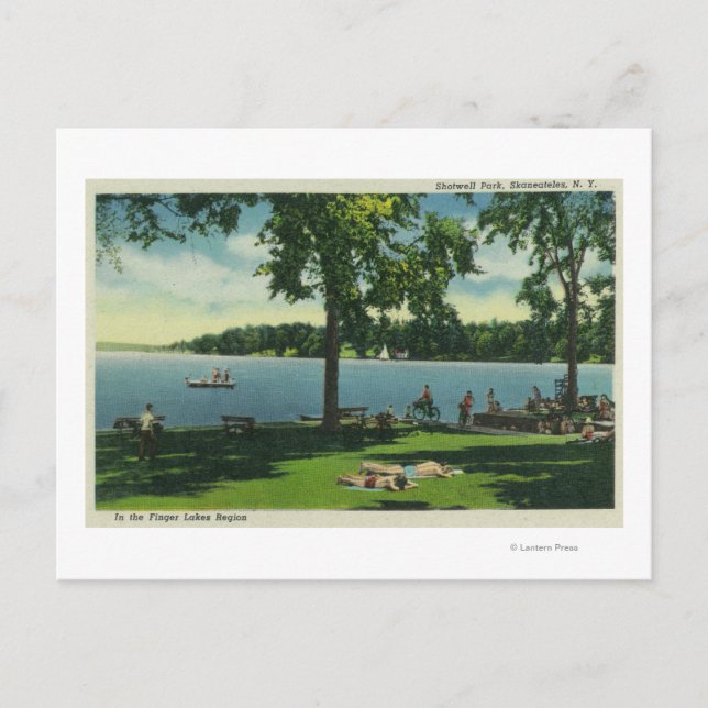 Carte Postale Shotwell Park pendant la journée ensoleillée (Devant)