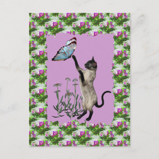 Carte Postale Siamese Cat Blue Butterfly Daisies (Devant)