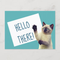 Siamese Chat Bonjour Il ya un message personnalisé