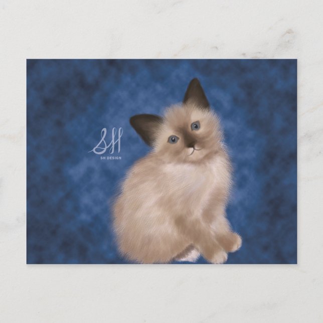 Carte Postale Siamese Kitten (Devant)