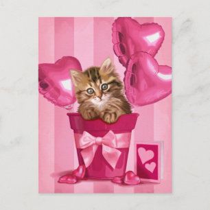 Carte Postale Sibérie Kitten