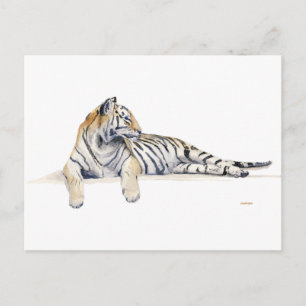 Carte Postale Sibérien / Bengale Tiger