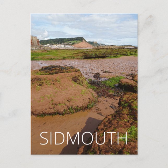 Carte Postale Sidmouth (Devant)