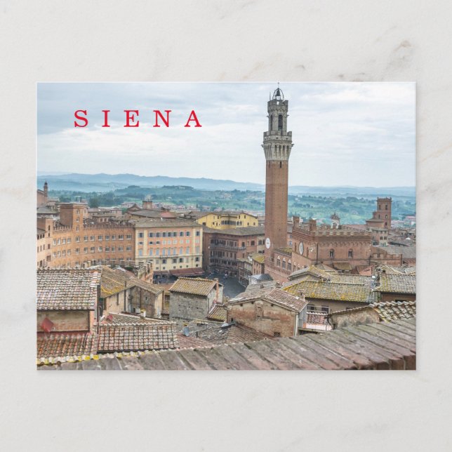 Carte postale Siena Piazza del Campo vue (Devant)