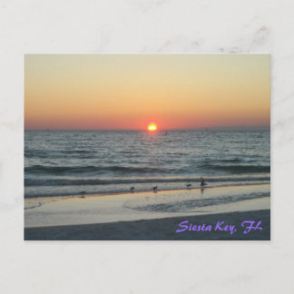 Carte postale Siesta Key Florida Sunset