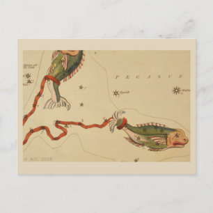 Carte Postale SIGNE Zodiaque Pisces