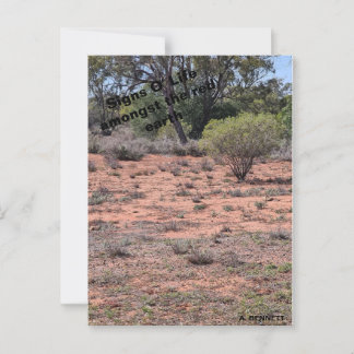 Carte Postale Signes O'Life