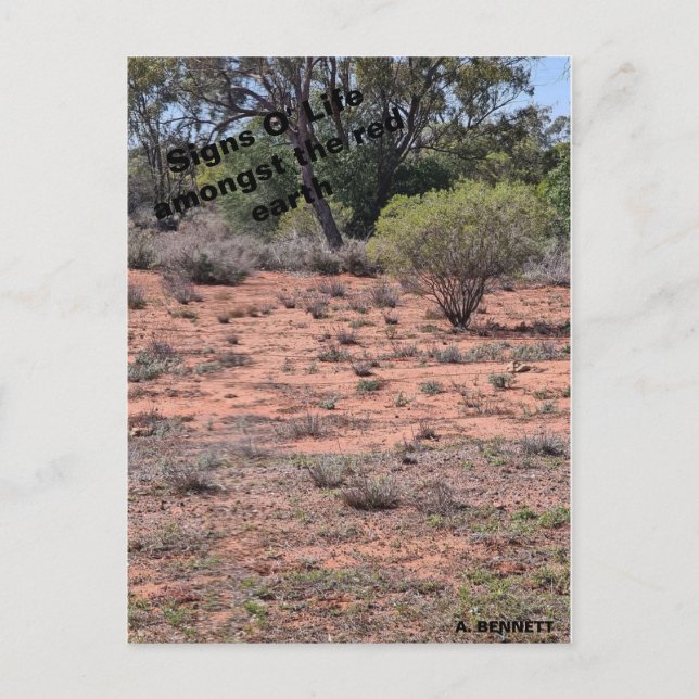 Carte Postale Signes O'Life (Devant)