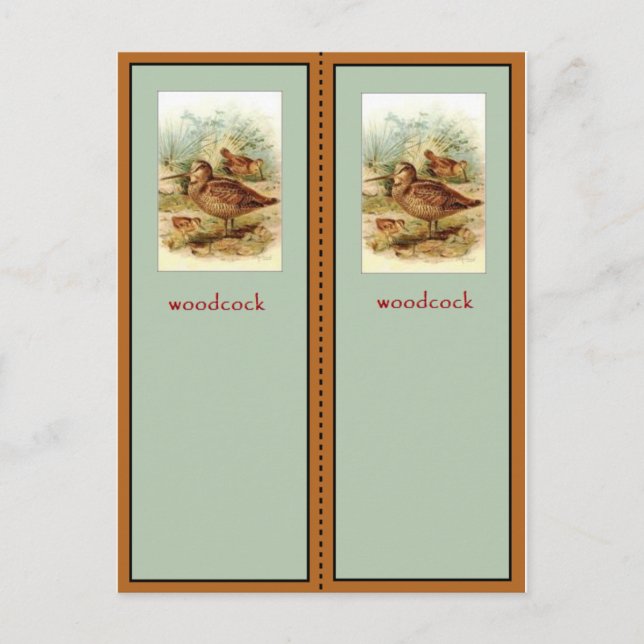 Carte Postale Signet américain Woodcock (Devant)