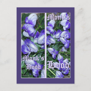 CARTE POSTALE SIGNETS MONKSHOOD