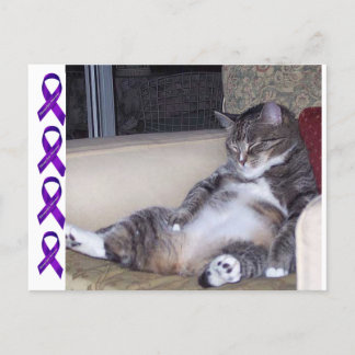 Carte Postale S'il a besoin d'un pantalon ou d'un soutien-gorge.