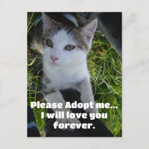 Carte Postale S'il vous plaît, adoptez-moi..vous aimerai pour to