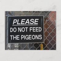 S'il vous plaît ne nourrissez pas les pigeons New
