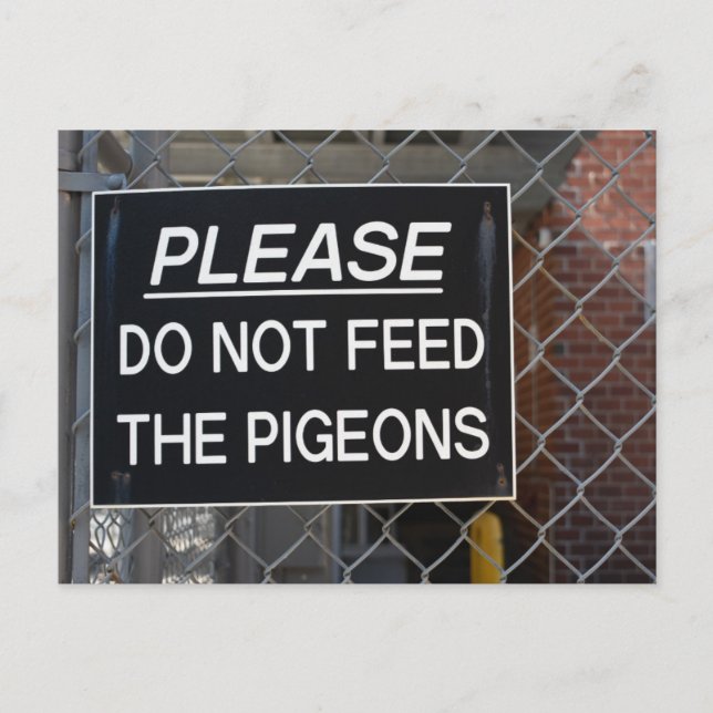 Carte Postale S'il vous plaît ne nourrissez pas les pigeons New  (Devant)