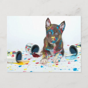 Carte Postale Silencieux Husky Puppy entre dans les seaux de pei