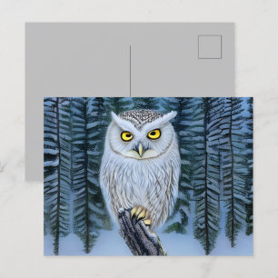 Carte Postale Silent Watch - Northern Winter Woods Grey Owl