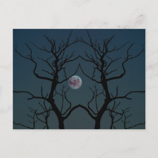 Carte Postale Silhouette Arbre Lune