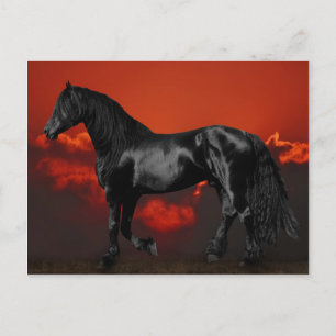 Carte Postale Silhouette de cheval au coucher du soleil