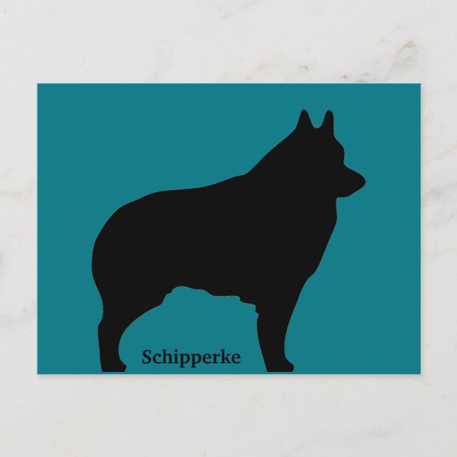 Carte Postale Silhouette de chien de Schipperke (Devant)