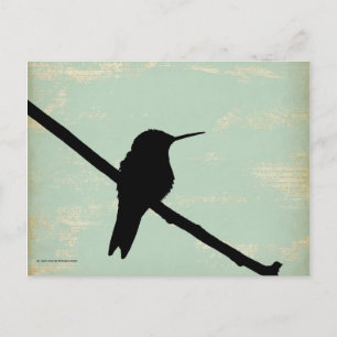 Carte Postale Silhouette de colibri sur Arrière - plan Blue Grun