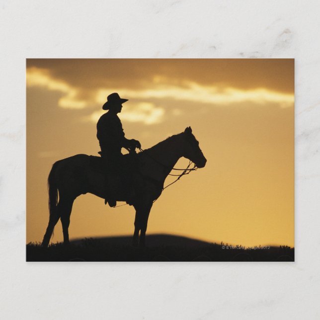 Carte Postale Silhouette de cow-boy à cheval au coucher du solei (Devant)