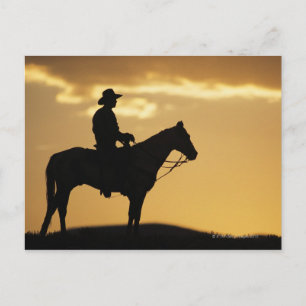 Carte Postale Silhouette de cowboy à cheval au coucher du soleil