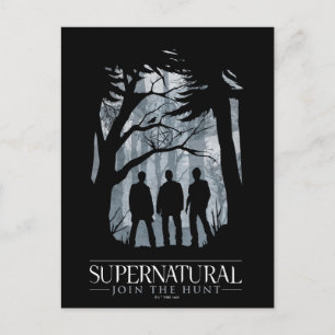 Carte Postale Silhouette de la forêt surnaturelle