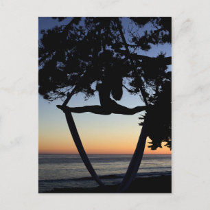 Carte Postale Silhouette de soie aérienne