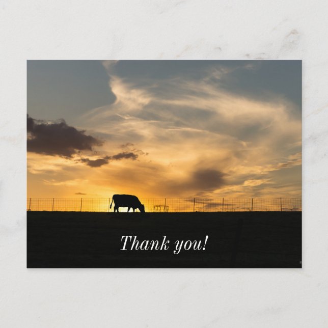 Carte Postale Silhouette de vaches au coucher du soleil (Devant)