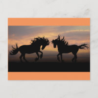Silhouette des chevaux sauvages