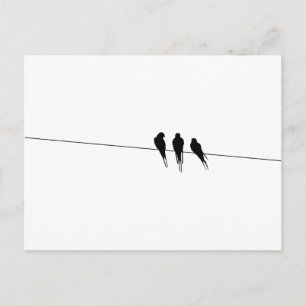 Carte Postale Silhouette des oiseaux noirs sur fil