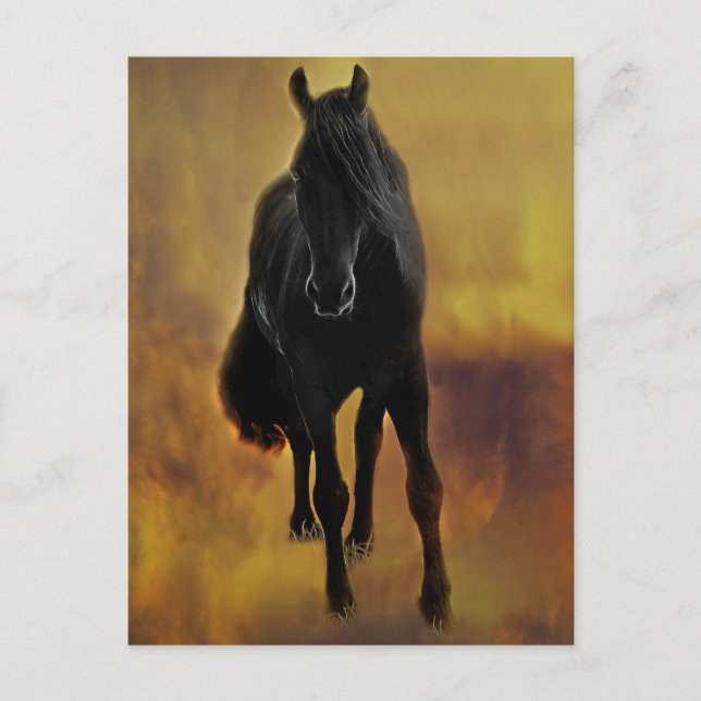 Carte Postale Silhouette du cheval noir (Devant)