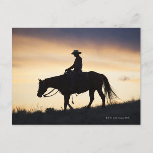 Carte Postale Silhouette d'une cowgirl sur son cheval sur fond d
