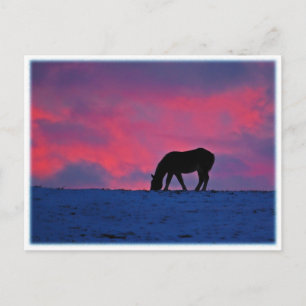 Carte Postale Silhouette équine