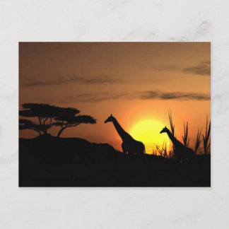 Carte Postale Silhouette Giraffe - Blanc pour votre propre messa