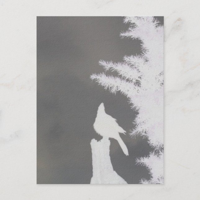 Carte Postale Silhouette Jay de Steller (Devant)