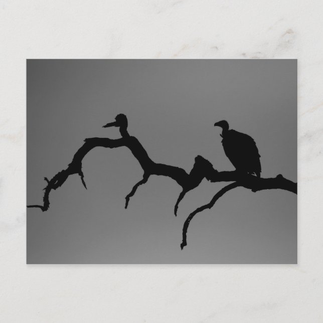 Carte Postale Silhouette vautour (Devant)