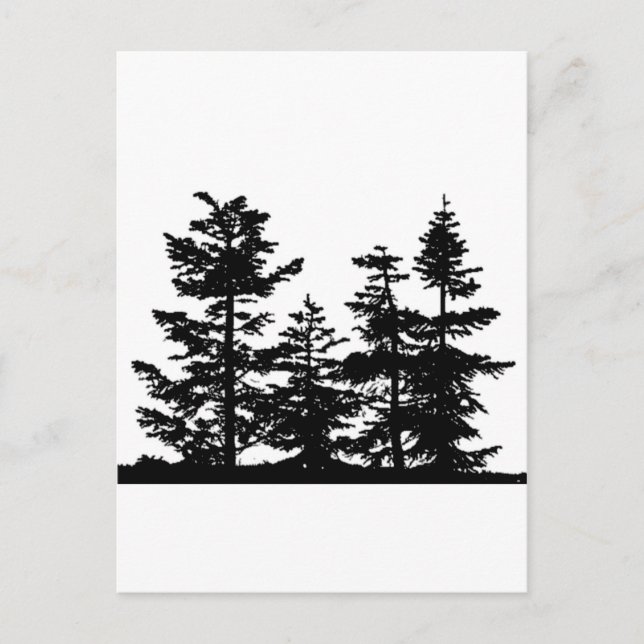 Carte Postale Silhouettes d'arbre (Devant)
