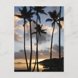 Carte Postale Silhouettes de palmiers à Hawaii