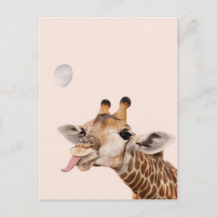 Carte Postale Silly Giraffe