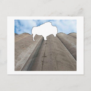 Carte postale Silo et Buffalo