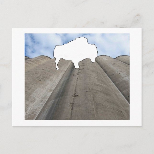 Carte postale Silo et Buffalo (Devant)