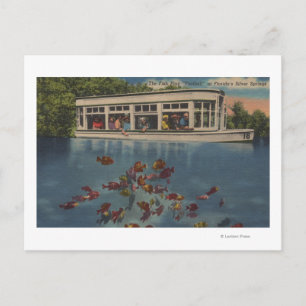 Carte Postale Silver Springs, Floride - Vue sur Riverboat &