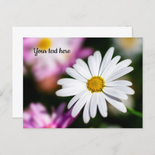 Carte postale simple blanc