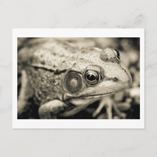 Carte Postale simple jour (Devant)