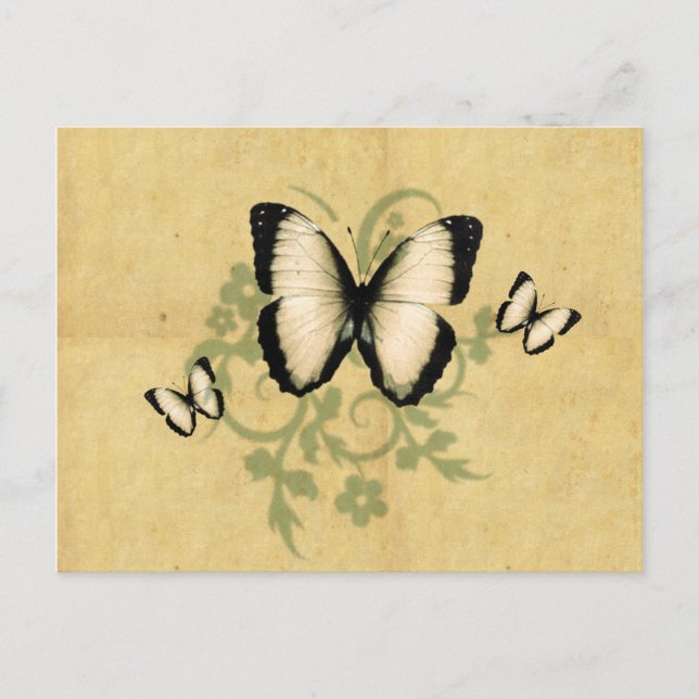 Carte postale simple papillon (Devant)